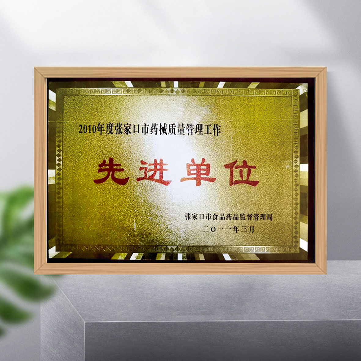 公司荣誉