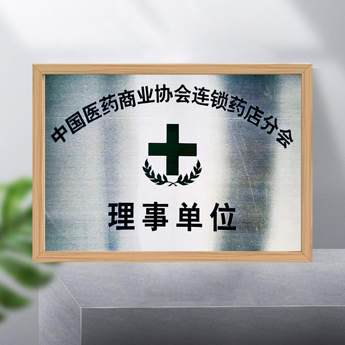 公司荣誉